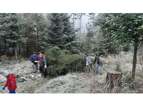 Es weihnachtet in St. Crescentius (Foto: Karl-Franz Thiede)